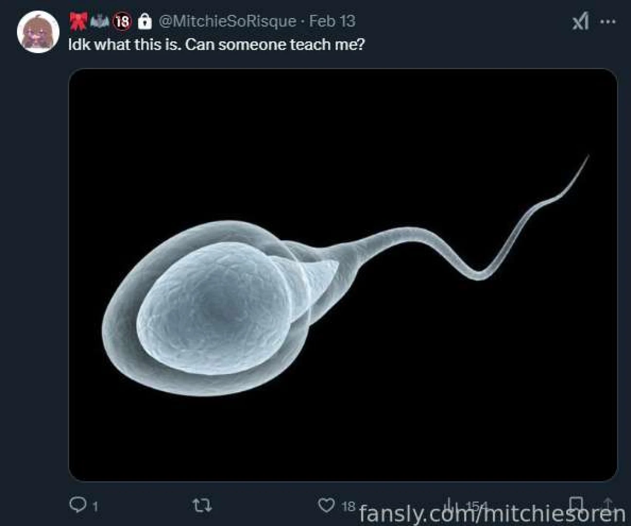 If you have a twitter feel free to request to follow my locked nsfw 