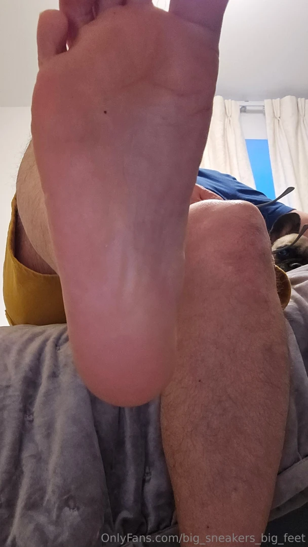 Happy holidays 2024 happy new year 2025 part 1 