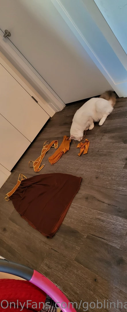 Star wars slave princess cosplay 