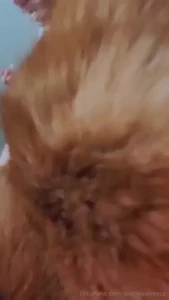 Hope everyone has a good day today part 1