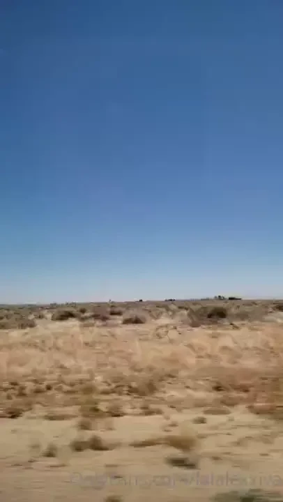 All 3 of us went out for a road trip they stuffed me in the trunk 