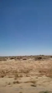 All 3 of us went out for a road trip they stuffed me in the trunk