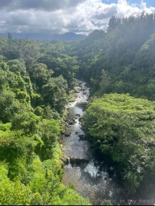 Good morning just got back from one of the most beautiful places on part 4
