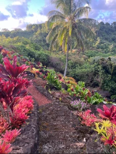 Good morning just got back from one of the most beautiful places on