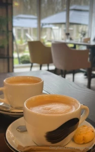 Here amidst the gentle hum of chatter and the soft melody playing in