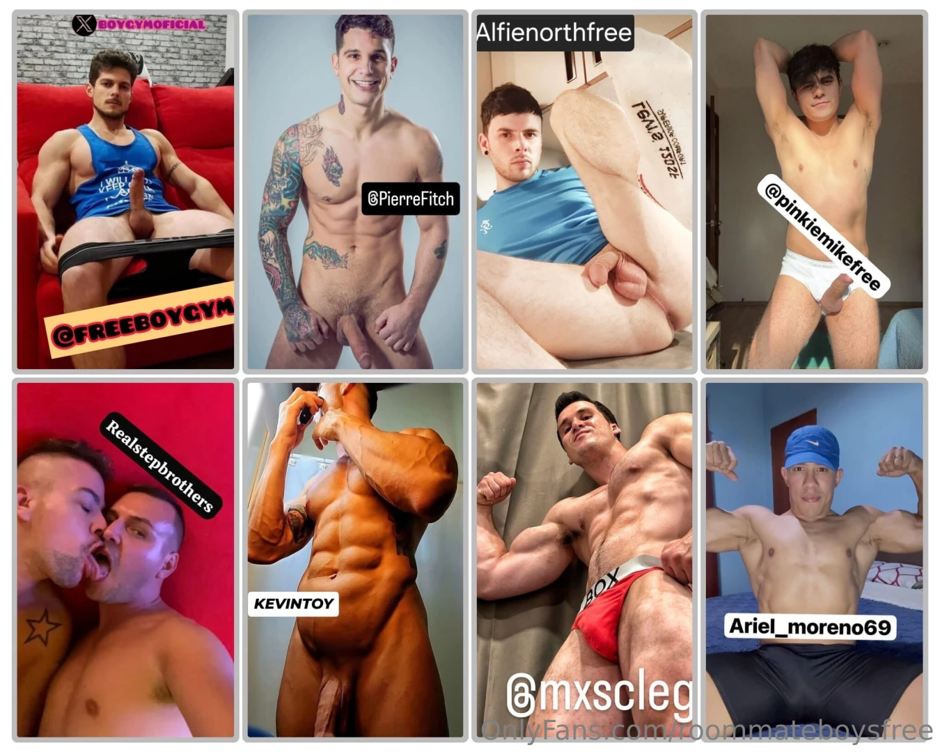 1 freeboygym 2 pierrefitch 3 alfienorthfree 4 pinkiemikefree 5 