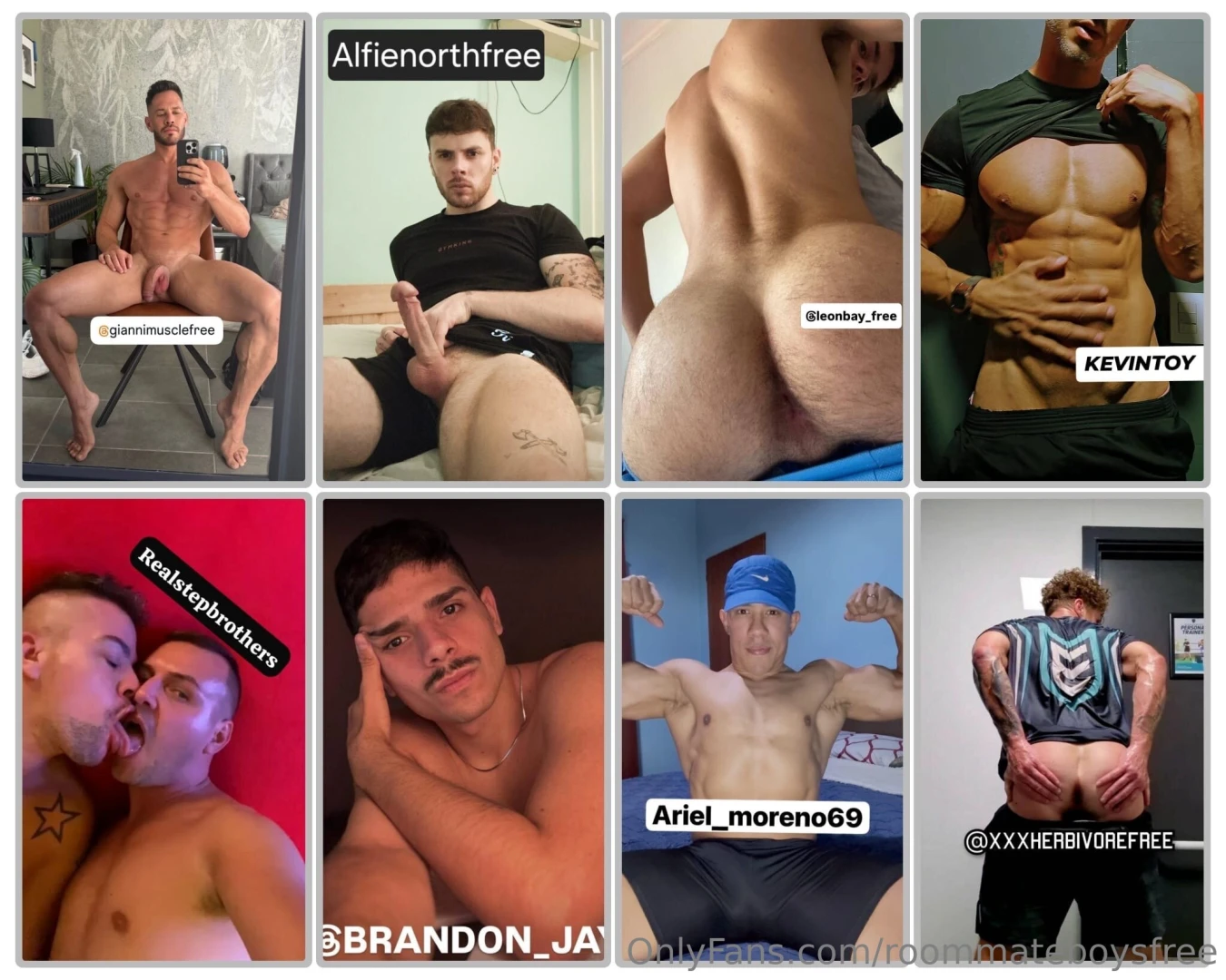 1 giannimusclefree 2 alfienorthfree 3 leonbay_free 4 kevintoy 5 