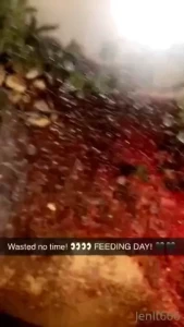 Every wednesday is feeding day thought i might share how fucking bad