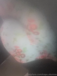 Somehow a dog hair got in my phone camera and now my pictures are part 1