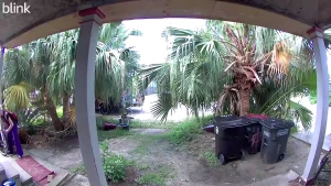 This is them leaving last night at 3 am this is her coming back at 9 part 1