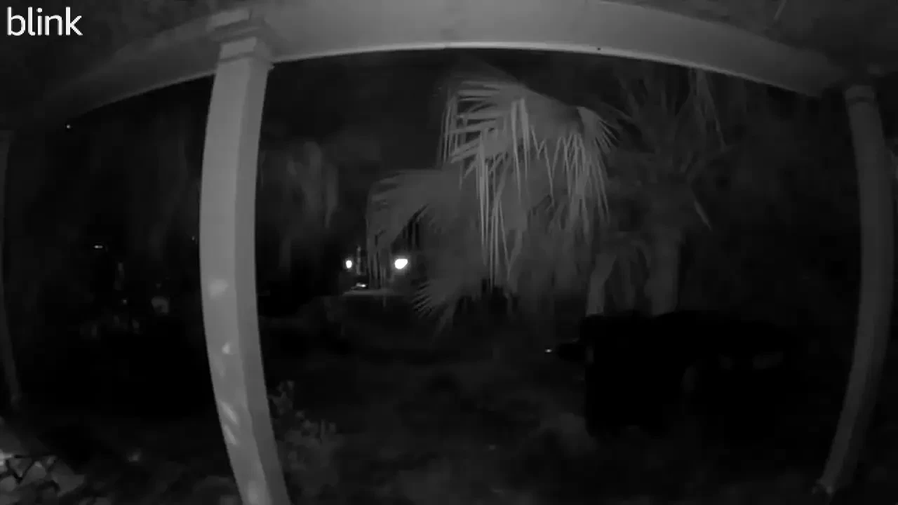 This is them leaving last night at 3 am this is her coming back at 9 