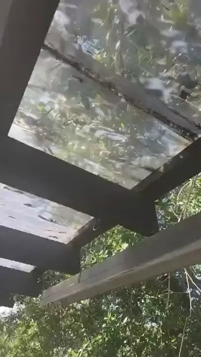 Horror noises next to my bedroom 