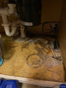 A leak i ve been needing to eat out