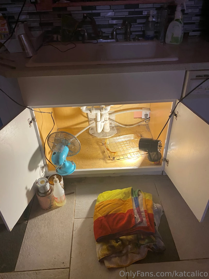 A leak i ve been needing to eat out part 2 