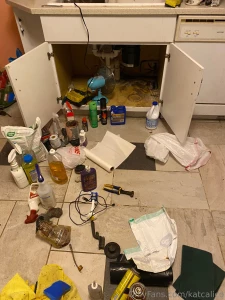 A leak i ve been needing to eat out part 1