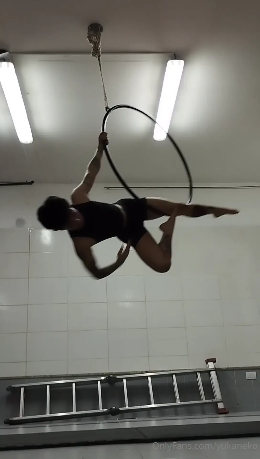 Basic beginner aerial hoop combo 
