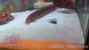 My housemate and i have been innocently flirting on and off since she