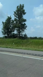 Hey y all last week i joined a close friend on a road trip to visit