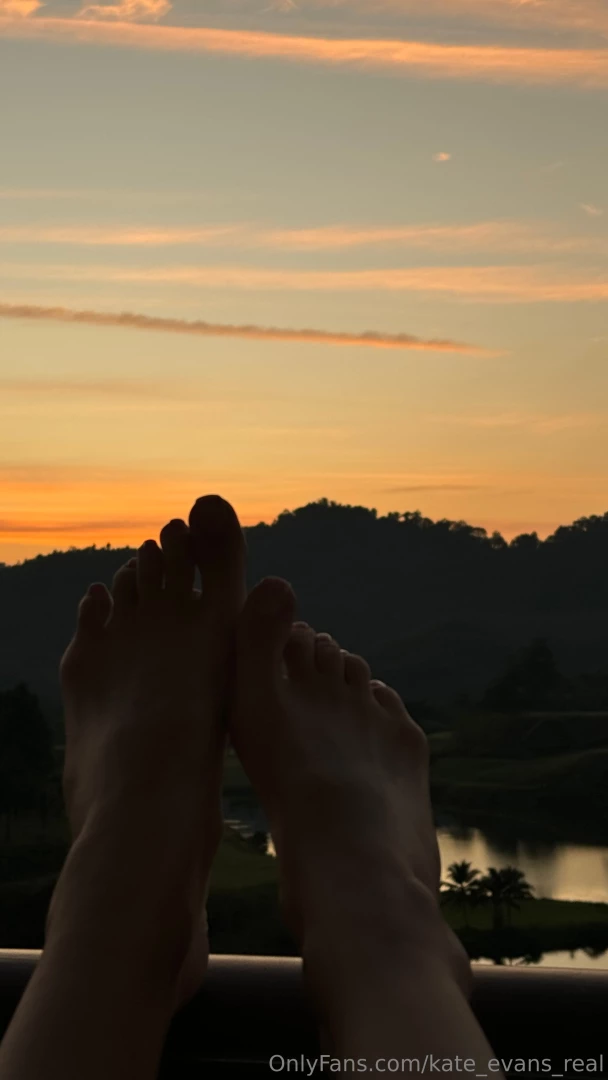 Sometimes you just have to stop to feel the world around you wake up 