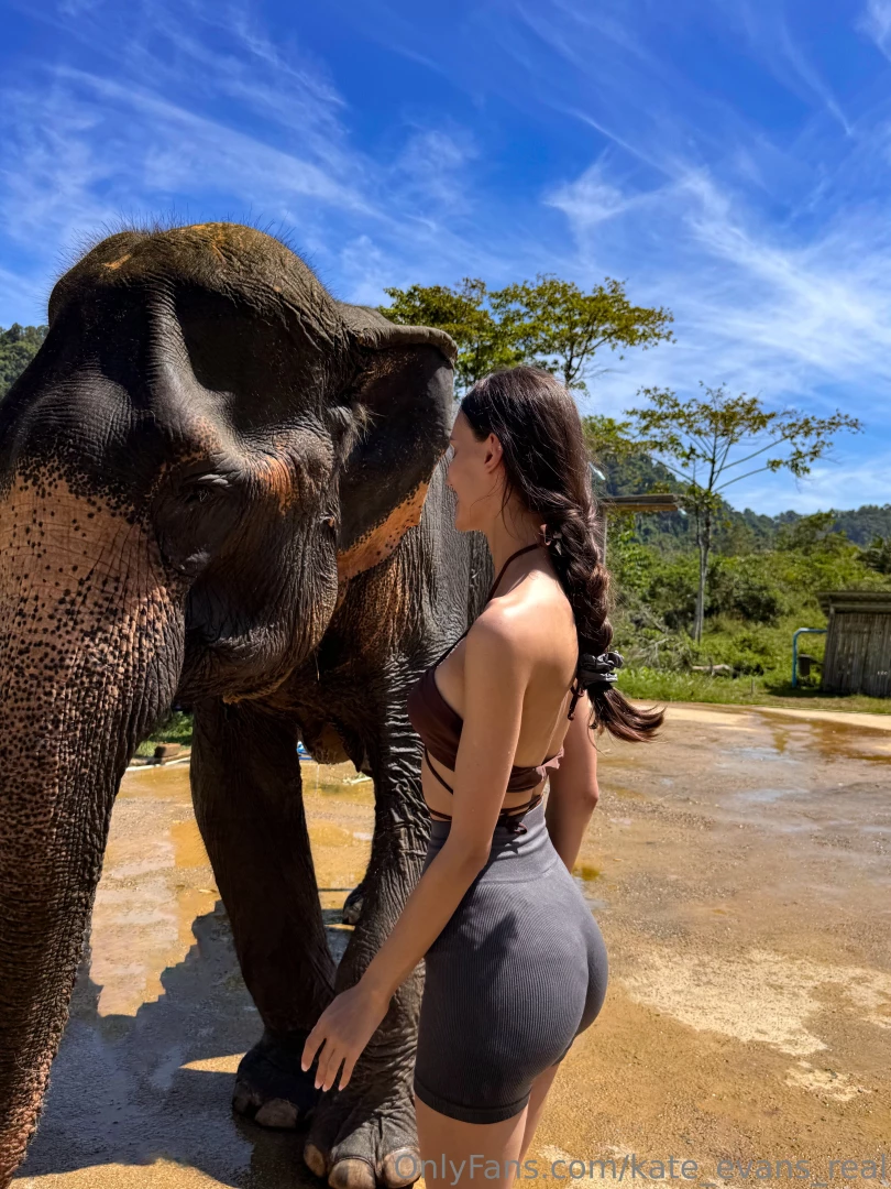 My unforgettable day in thailand washing elephants hi today i want to 