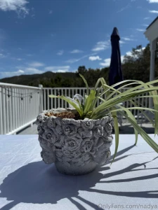 Some beautiful days in new mexico work and rest