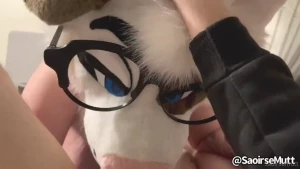 Two bones one dog any tips will get extra vids in their dms
