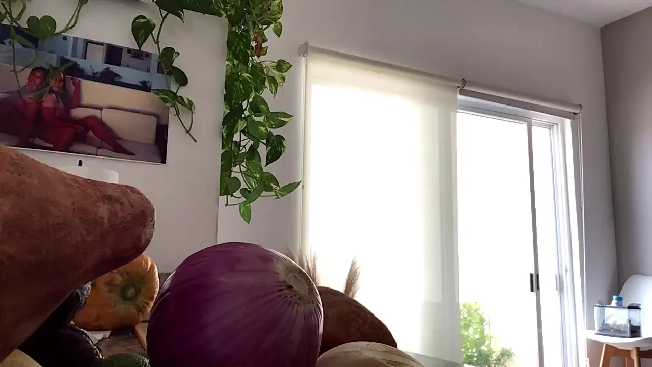 Stream started at 04 16 2024 04 56 pm lunch and a playlist 