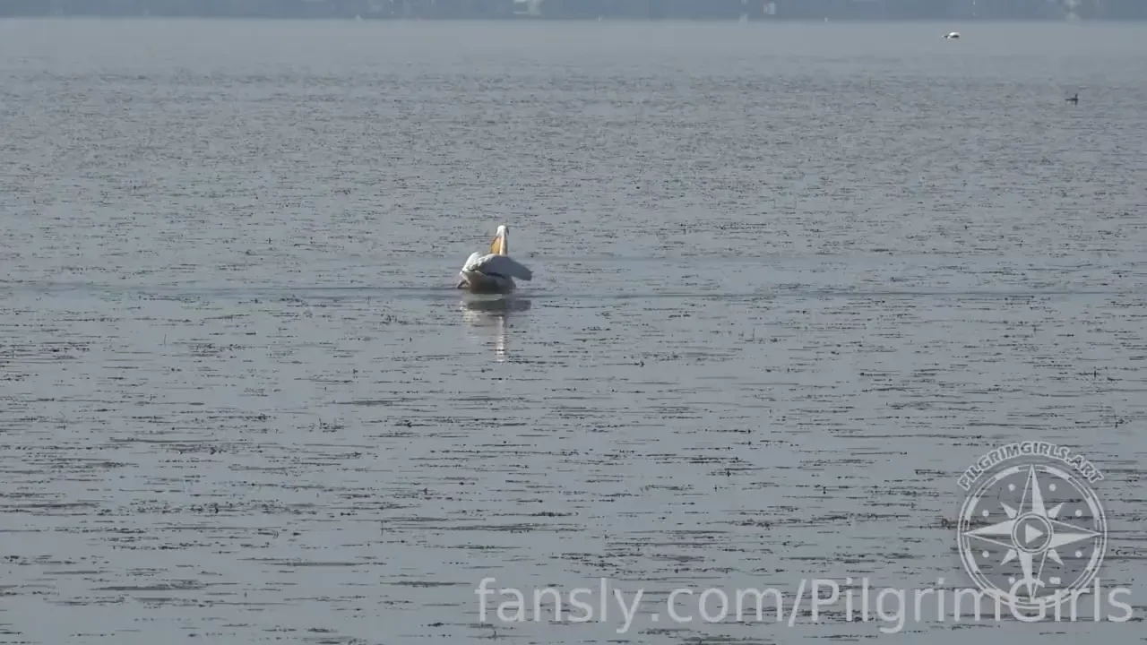 Walk along the coast 