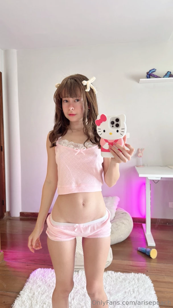 Hello kitty fan 