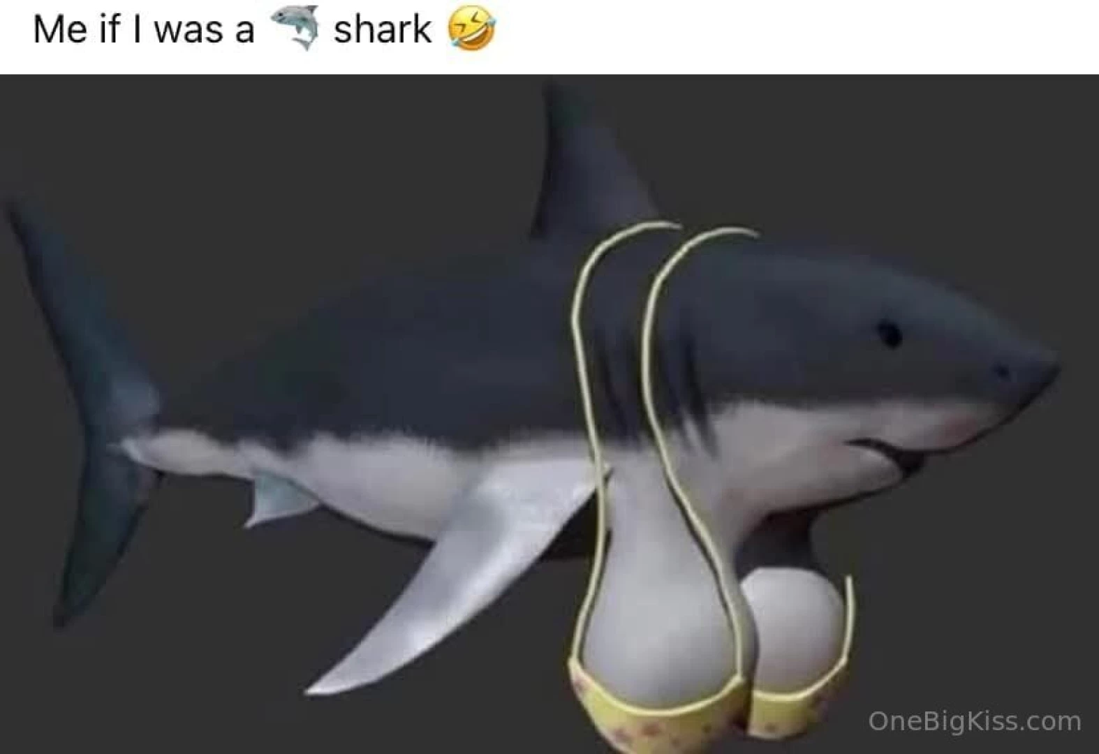 I just cant resist posting this 