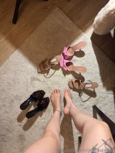 Which one should i choose