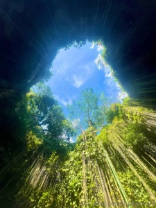 Hiii here s what i ve been up to we were in mexico for a week with part 11