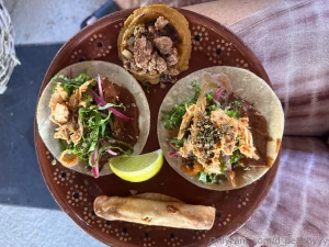 Hiii here s what i ve been up to we were in mexico for a week with part 2