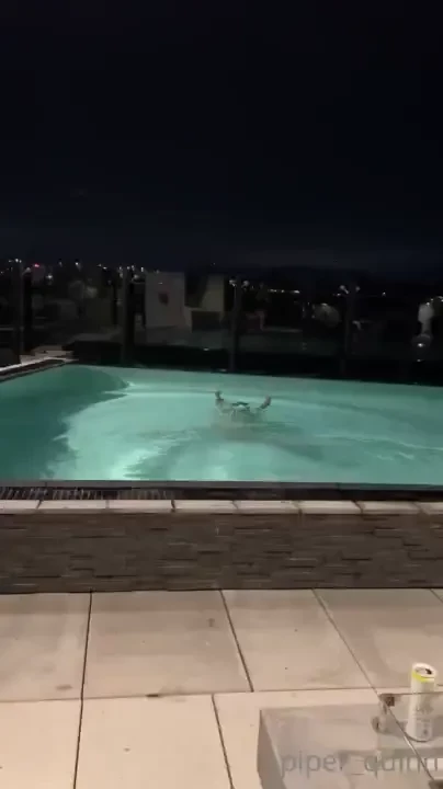 We snuck into a hotel pool after hours last night you won t tell 