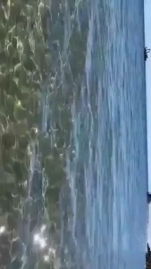 And we were supposed to take a shower together