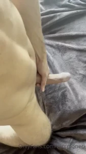 Niccoloneri part 17665