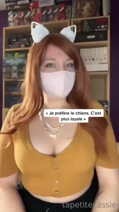 Tu est plut t team chien ou chat tapetitecassie 