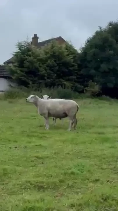 This morning felt so good part 1 