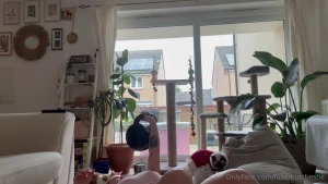 Best way to start my day with a furry assistant