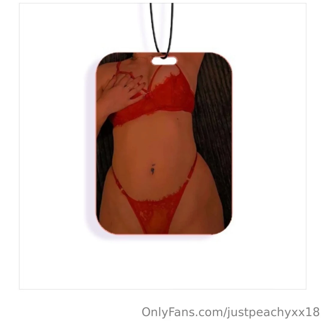 Thinking of doing some more air fresheners xx will be 10 nzd each and 