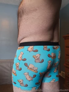 Pair 6 what do you look at more the beaver or the wood part 1