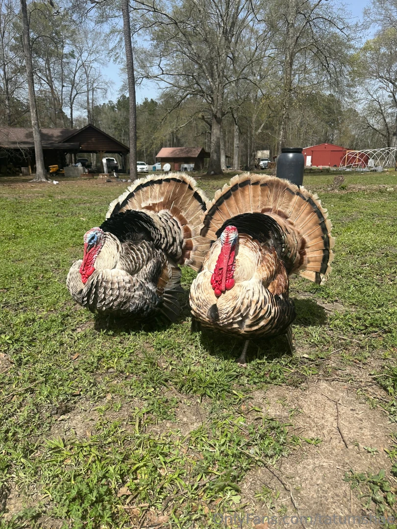 Out at the ranch the next couple days see you guys again thursday 