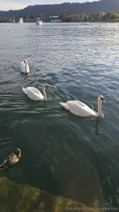 Gr ezi from z rich i hope you don t mind me sharing some sights too we part 18