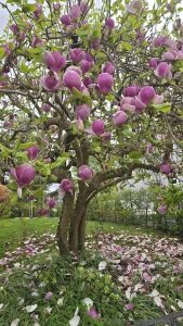 Gr ezi from z rich i hope you don t mind me sharing some sights too we part 10