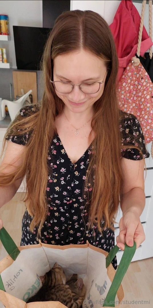 One goes grocery shopping and returns home with some kittens part 1 