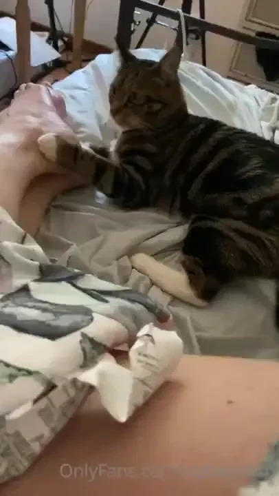 Happy caturday and yes i have also posted a cat video 