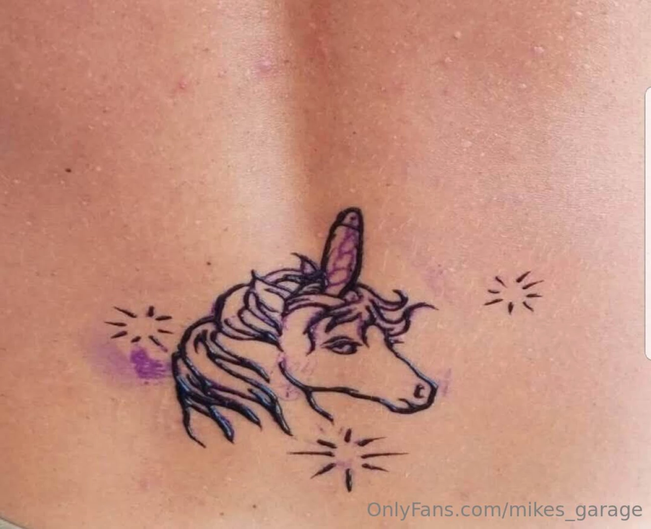 The key west peniscorn 