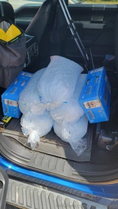 Let s goooooo part 8