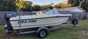 Going tomorrow to look at a 99 seapro who s excited about naked beach part 1