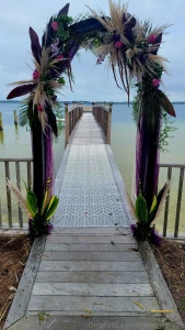 Can you tell which bows i tied vs the potheads part 1